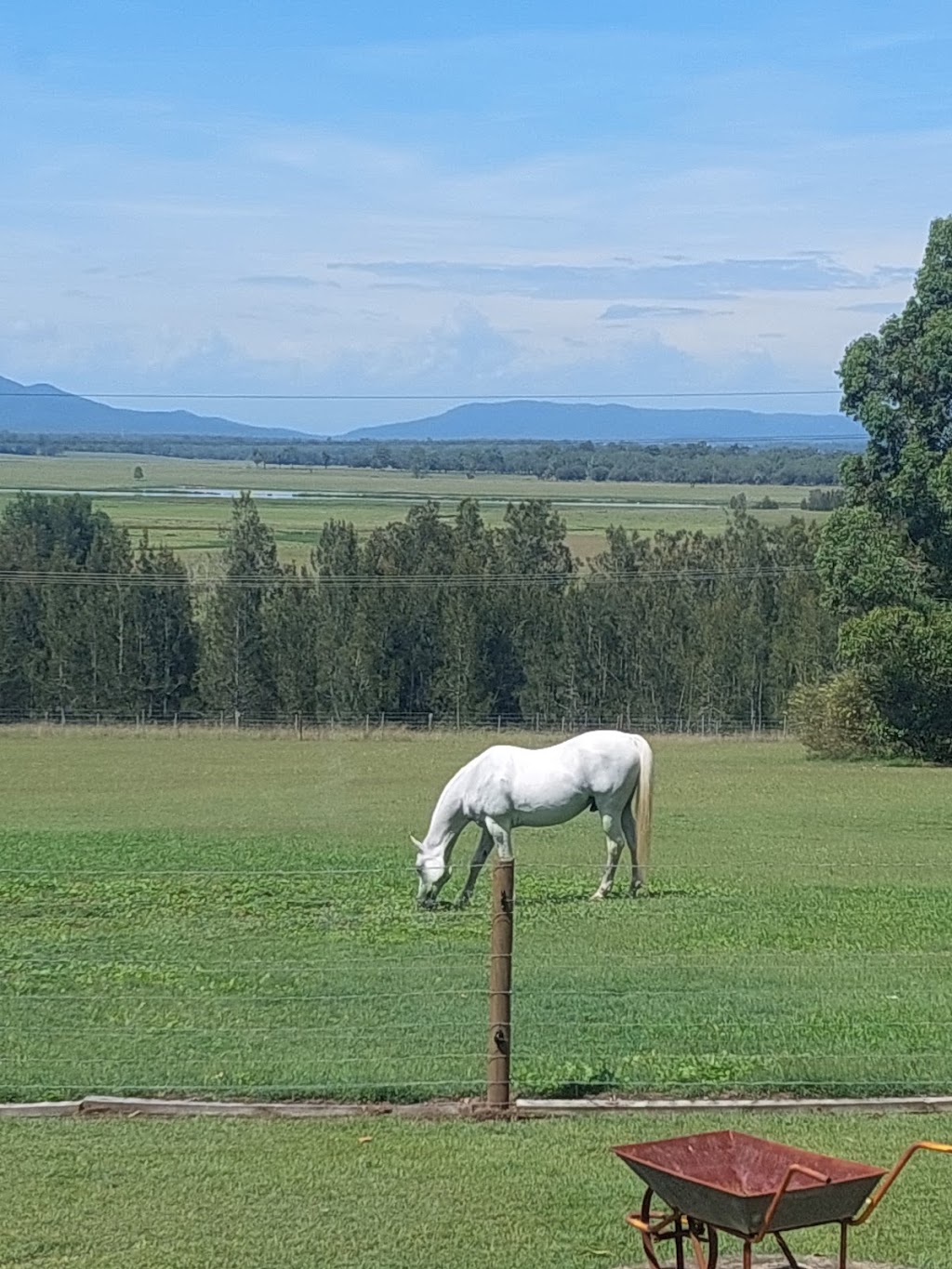 Elders Coast and Country | 133 Yarramalong Rd, Wyong Creek NSW 2259, Australia | Phone: (02) 4356 1000