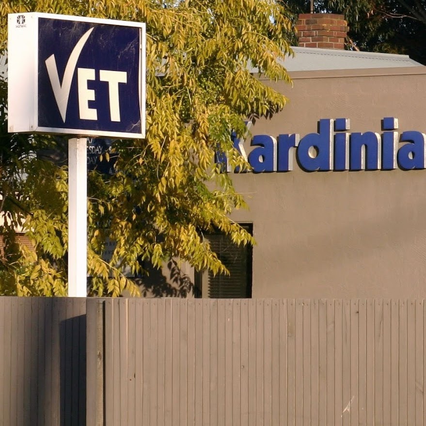 Kardinia Veterinary Clinic | veterinary care | 94 The Terrace, Ocean Grove VIC 3226, Australia | 0352215122 OR +61 3 5221 5122