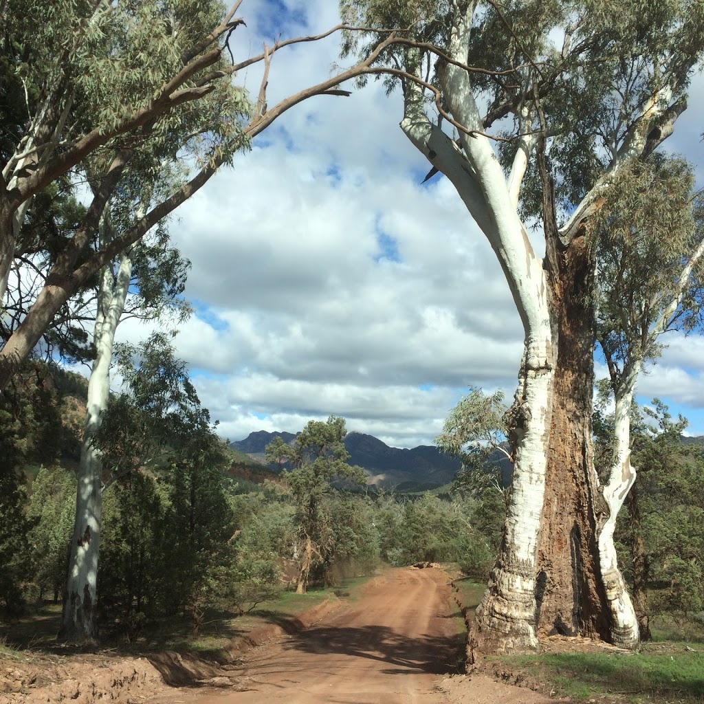 Wallaby Tracks Adventure Tours | 6 Railway Terrace, Quorn SA 5433, Australia | Phone: (08) 8648 6655