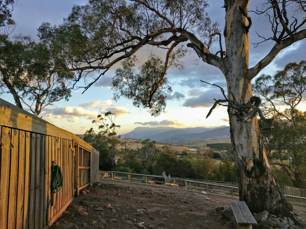 Bonorong Wildlife Sanctuary | 593 Briggs Rd, Brighton TAS 7030, Australia | Phone: (03) 6268 1184