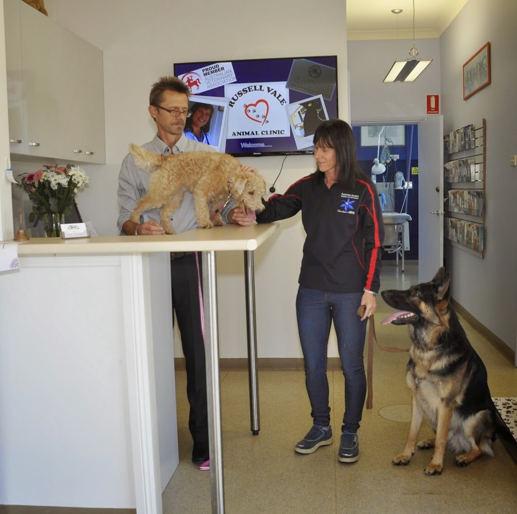 Russell Vale Animal Clinic | veterinary care | 17 Bellambi Ln, Bellambi NSW 2518, Australia | 0242845988 OR +61 2 4284 5988