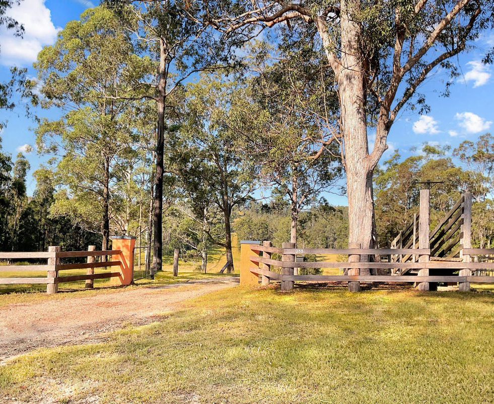 Windflower Web Design | 233 Lurcocks Rd, Nana Glen NSW 2450, Australia | Phone: 0439 000 069