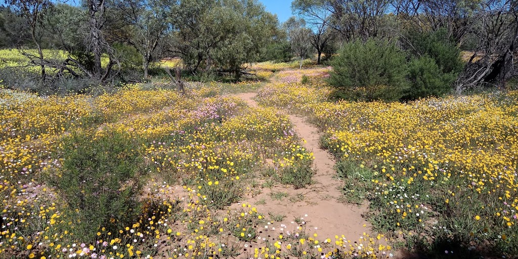 Miners Campground | campground | Lookout Rd, Holmwood WA 6522, Australia