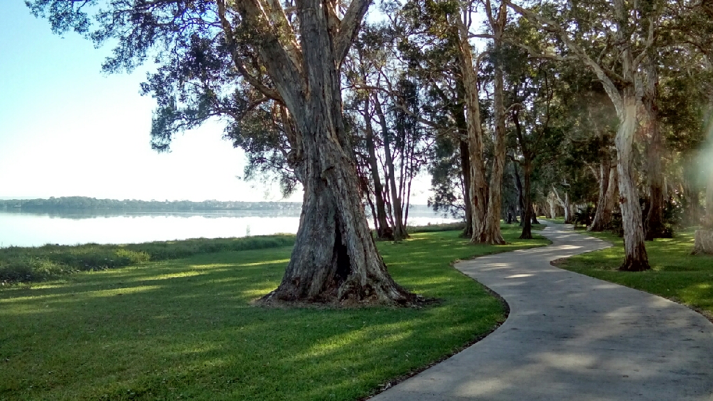 Osbourne Park | park | 20 Peel St, Toukley NSW 2263, Australia