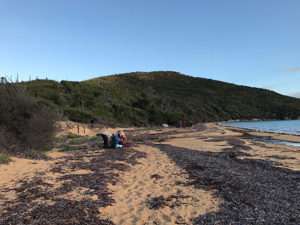 Tin Mine Cove Campground | campground | Wilsons Promontory VIC 3960, Australia | 131963 OR +61 131963