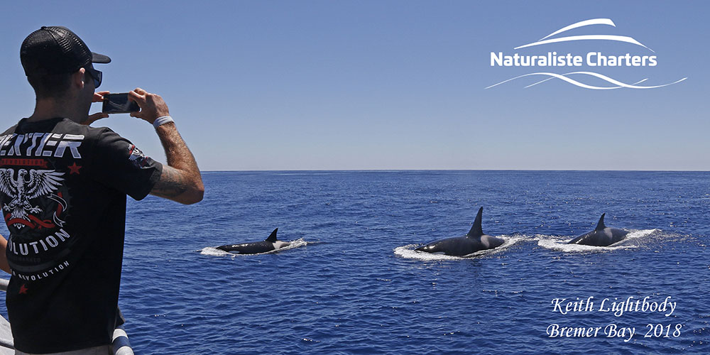 Naturaliste Charters Whale Watching & Killer Whale Expeditions | travel agency | 25 Dunn Bay Rd, Dunsborough WA 6281, Australia | 0897505500 OR +61 8 9750 5500