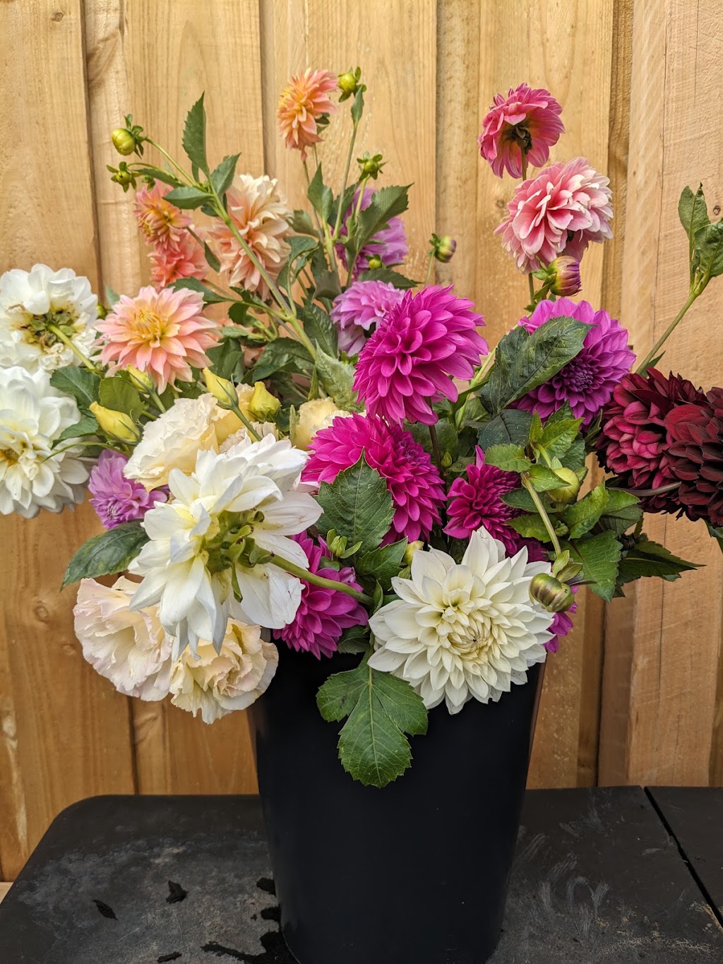 The Posy Yard | 746 Salisbury Rd, Spring Hill VIC 3444, Australia | Phone: 0434 504 934