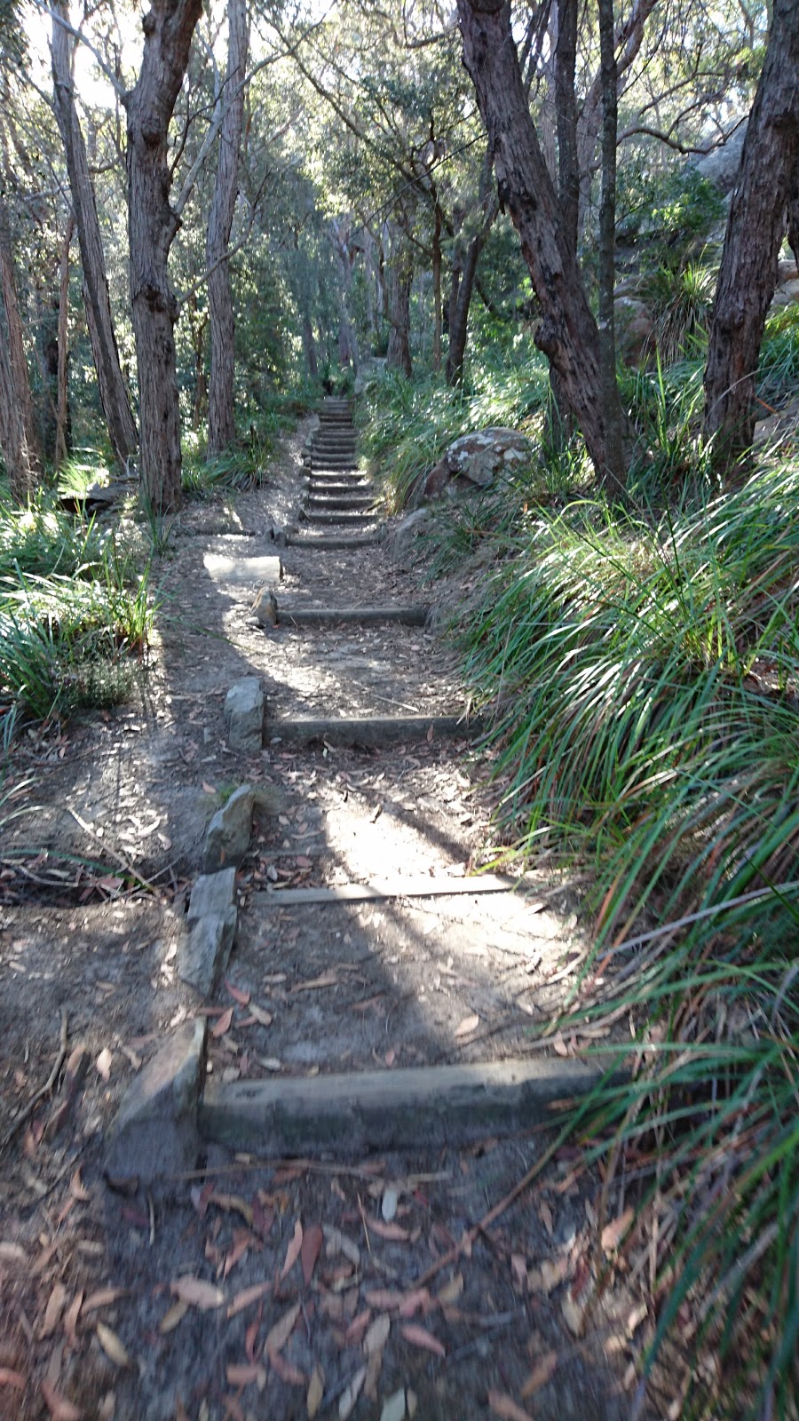 Red Hands Cave | park | Ku-Ring-Gai Chase NSW 2084, Australia