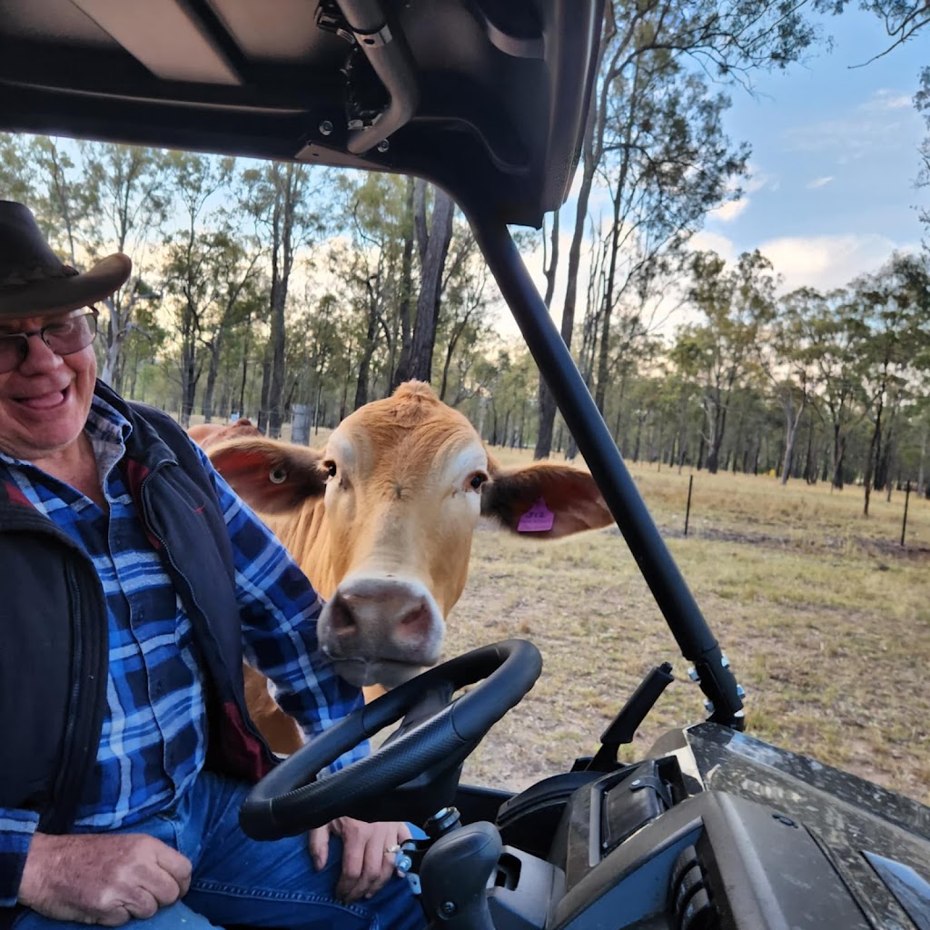 Rocky Creek Homestead | 12 Brookside Pl, Postmans Ridge QLD 4352, Australia | Phone: 0450 661 476