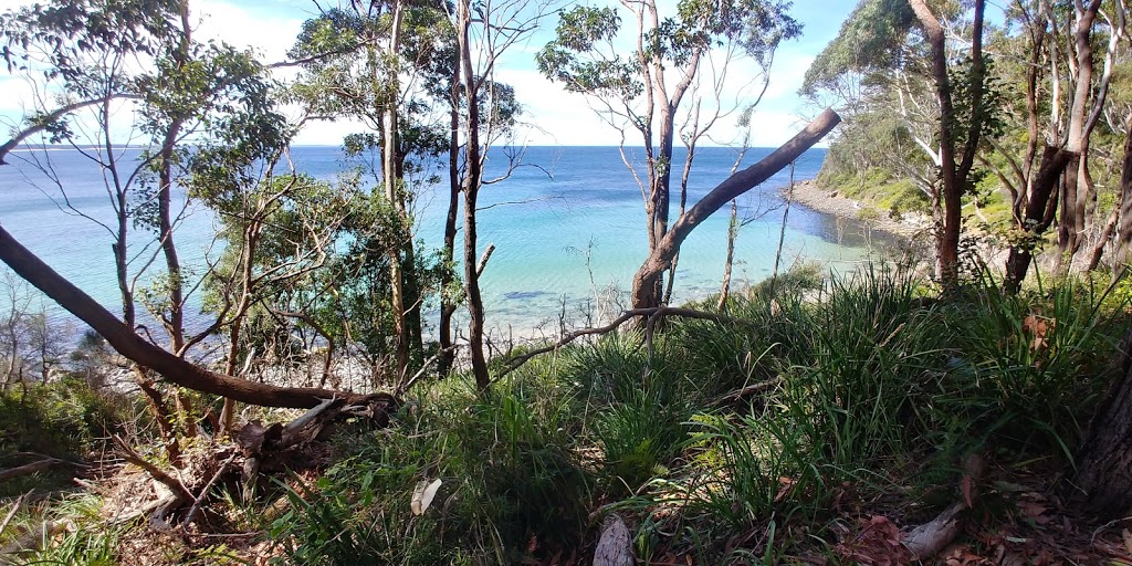 Mollymook Beach | tourist attraction | 33 Bannister Head Rd, Mollymook Beach NSW 2539, Australia | 0411429442 OR +61 411 429 442