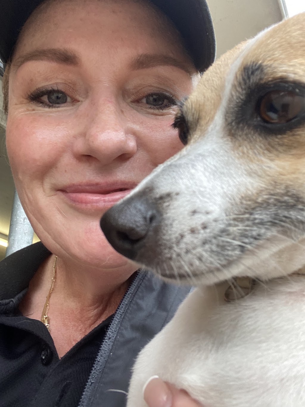 All Breeds | Shop 22/73 Meroo St, Bomaderry NSW 2541, Australia | Phone: 0458 302 831