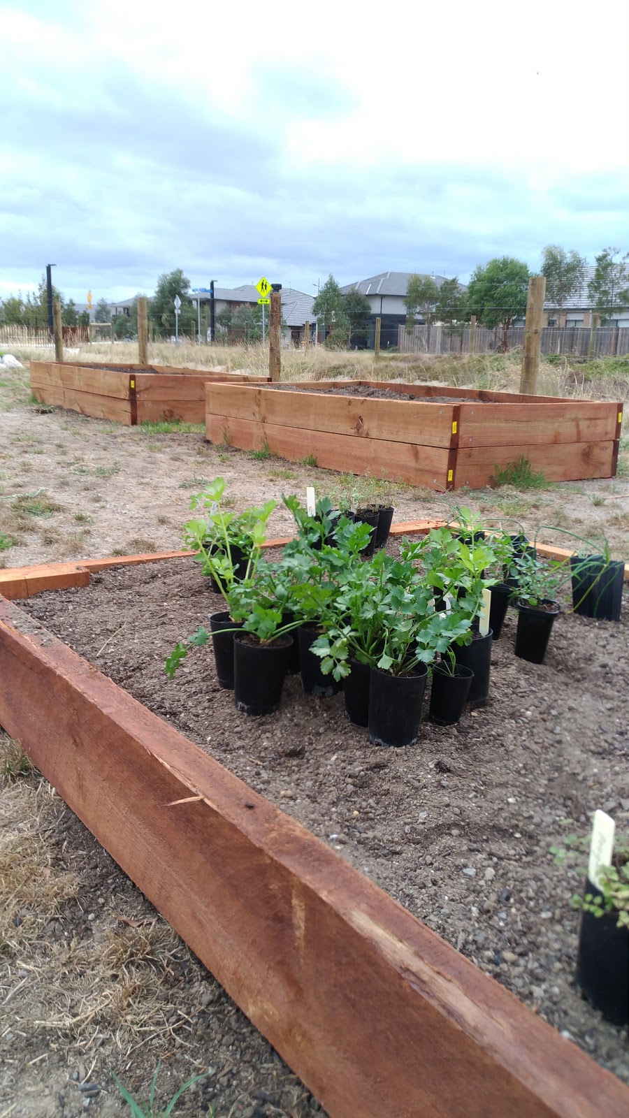 Williams Landing Community Garden | park | Williams Landing VIC 3027, Australia