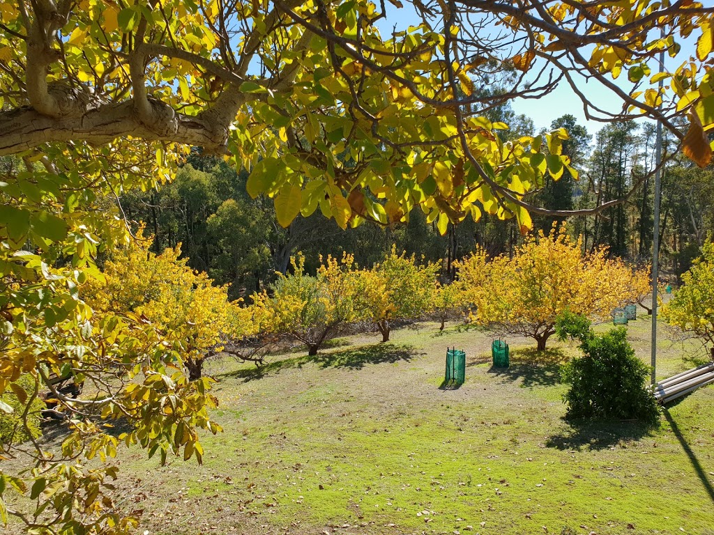 Taralee Orchards | 1087 Forest Rd, Wirrabara SA 5481, Australia | Phone: (08) 8668 4343