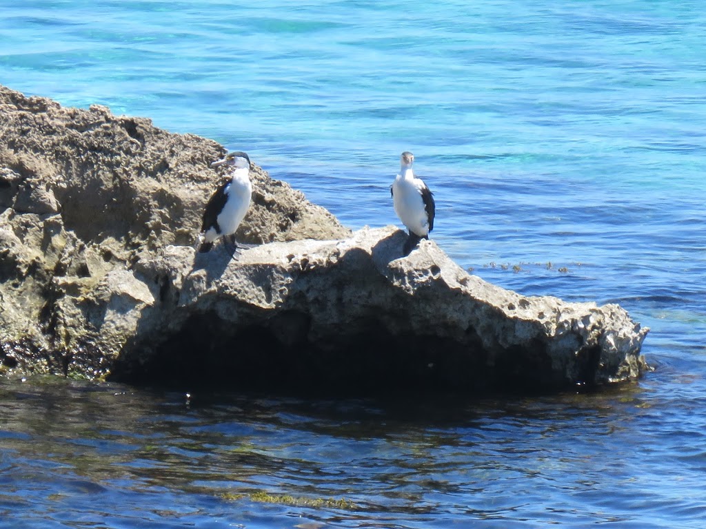 Just 4 Fun Rottnest Island | Rottnest Island WA 6161, Australia | Phone: 0422 439 008