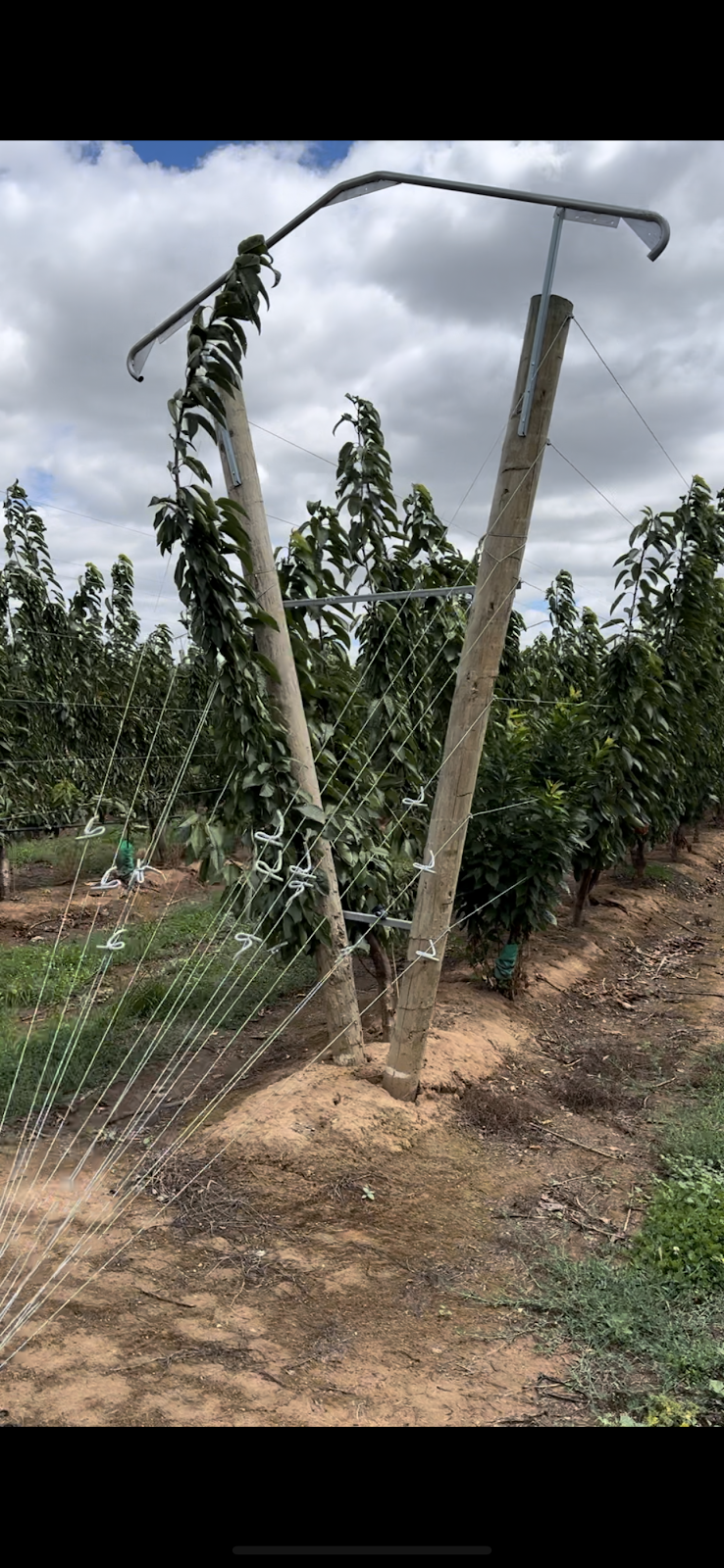 Eren’s Fresh Produce | 990 Craven Rd, Toolamba West VIC 3614, Australia | Phone: 0408 066 321 Eren’s Fresh Produce | 990 Craven Rd, Toolamba West VIC 3614, Australia | Phone: 0408 066 321