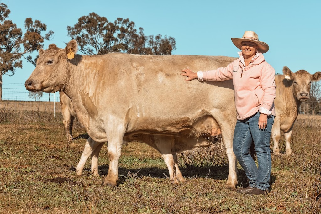 Glanmire Murray Grey Stud | 167 St Anthonys Creek Rd, Glanmire NSW 2795, Australia | Phone: 0437 792 920