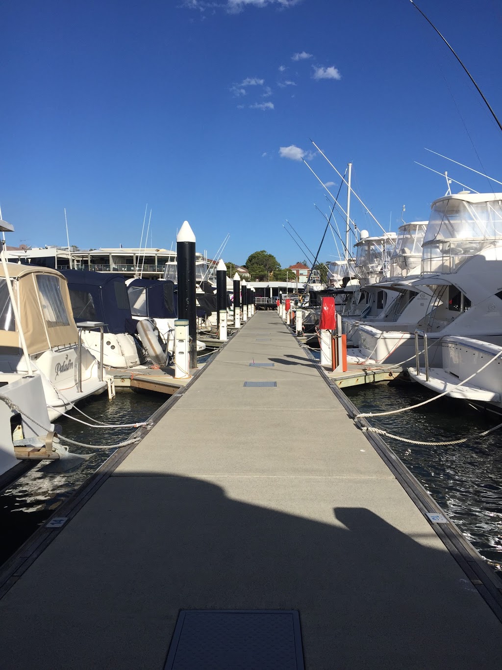 St George Motor Boat Club Marina | 2 Wellington St, Sans Souci NSW 2219, Australia | Phone: 0409 090 712