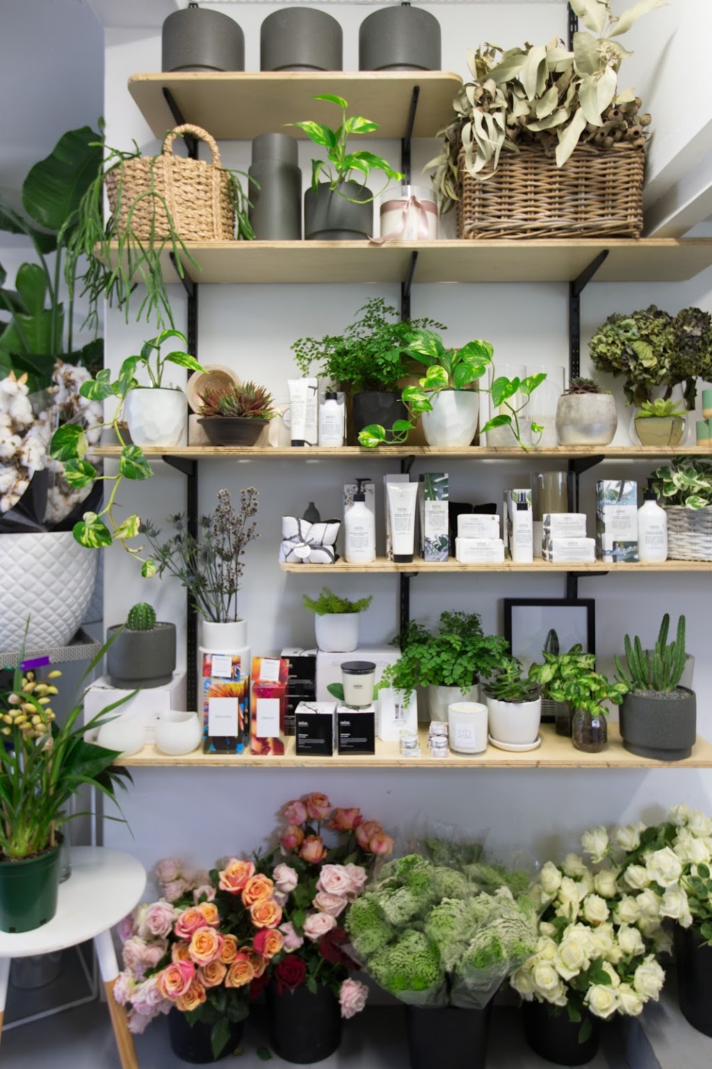 Copper Beech, The Flower Merchant | 70 Wanganella St, Balgowlah NSW 2093, Australia | Phone: (02) 8964 1751