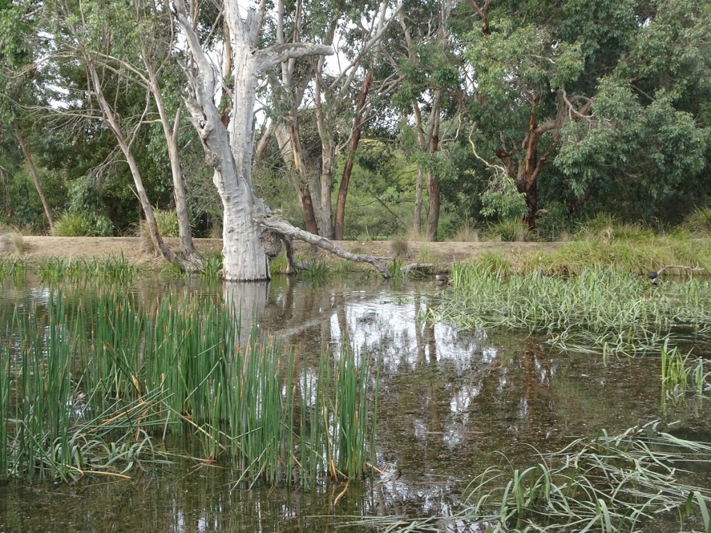 The Wetlands | Lake Wendouree VIC 3350, Australia