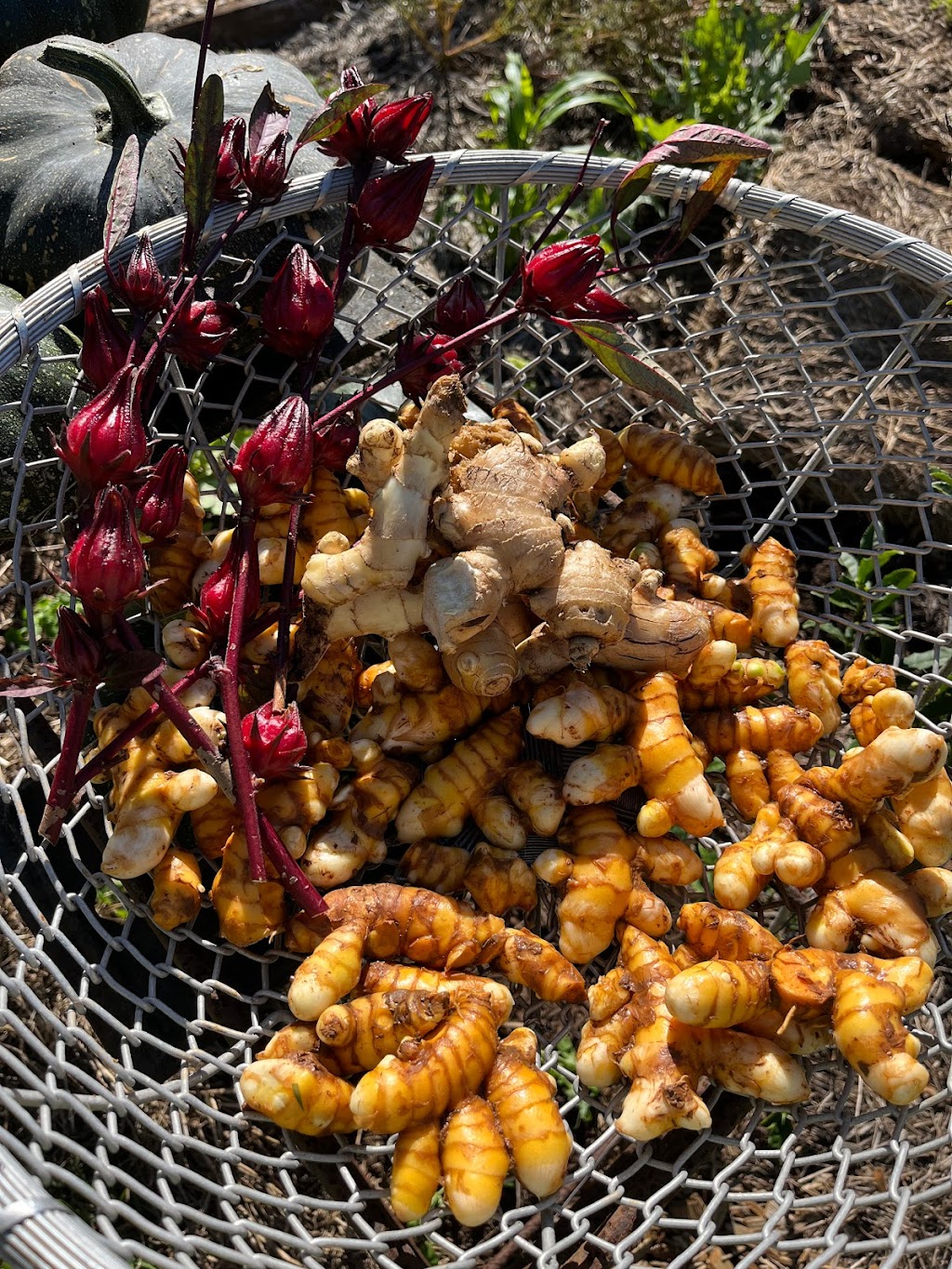 The Big Green Shed | 194 Kennedys Ln, Ewingsdale NSW 2481, Australia | Phone: 0401 781 276