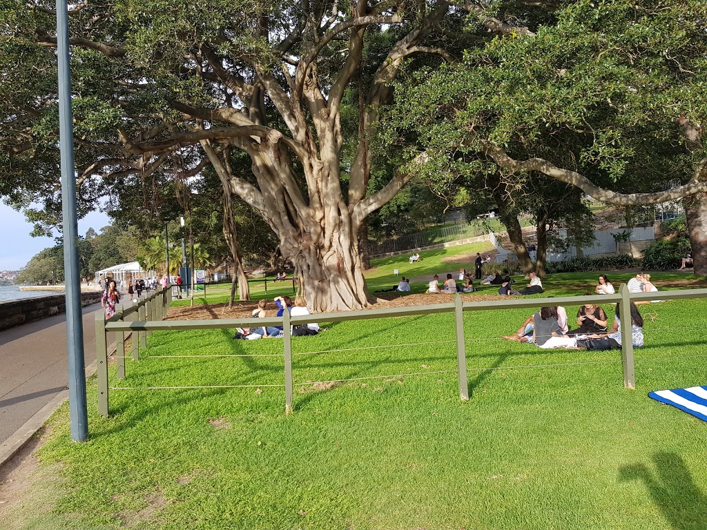 Harbour View Lawn | park | Mrs Macquaries Rd, Sydney NSW 2000, Australia | 0292318111 OR +61 2 9231 8111