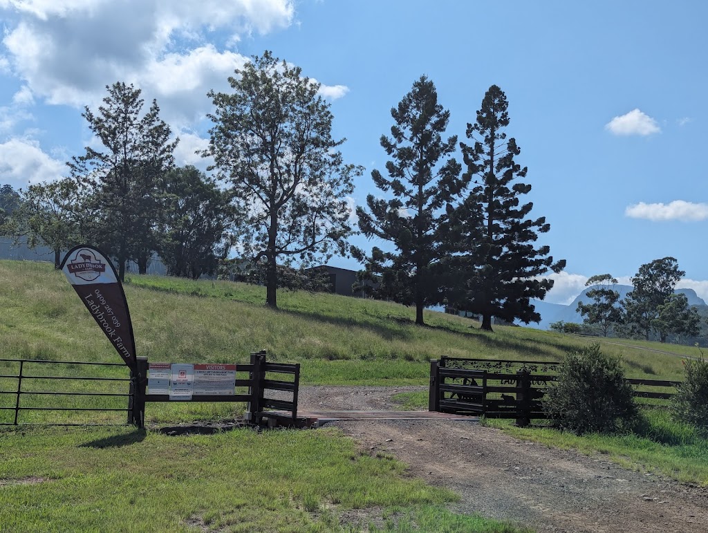 Ladybrook Farm | 2763 Kerry Rd, Darlington QLD 4285, Australia | Phone: 0409 267 039