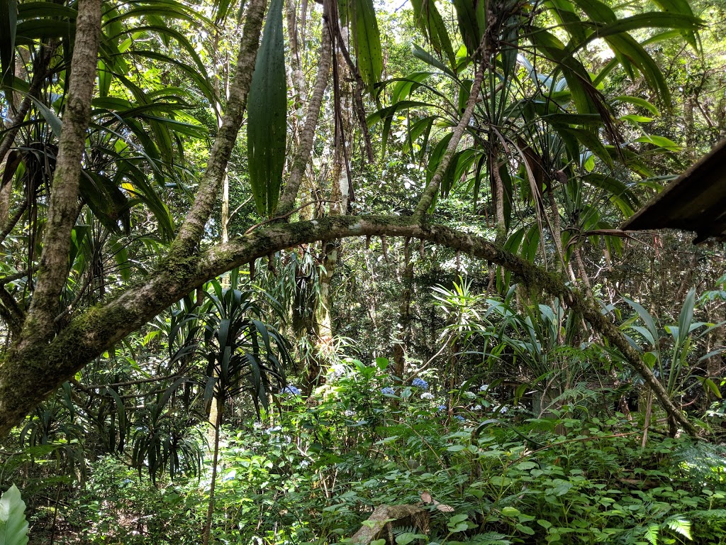 Mountain Gardens | park | Green Mountain Botanical Garden, OReilly QLD 4275, Australia