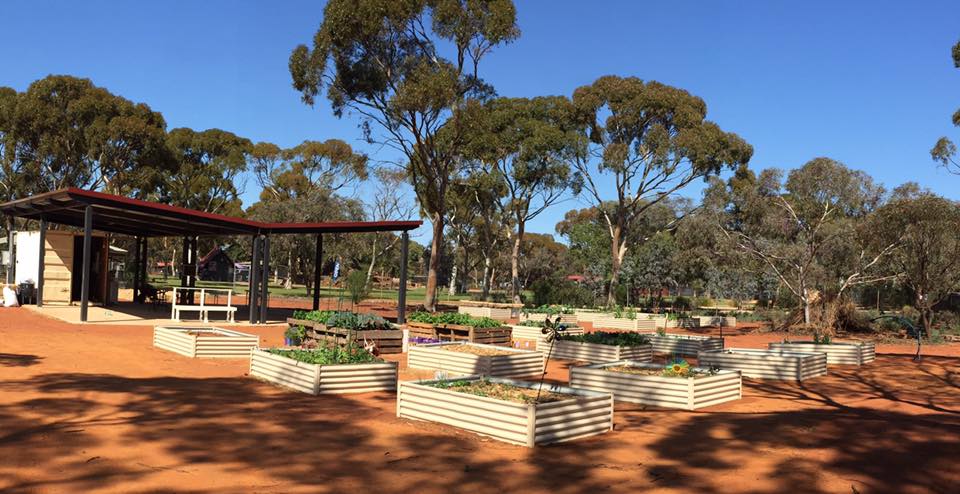 Kalgoorlie Boulder Community Garden Inc | park | 39 Memorial Dr, West Lamington WA 6430, Australia | 0422995728 OR +61 422 995 728