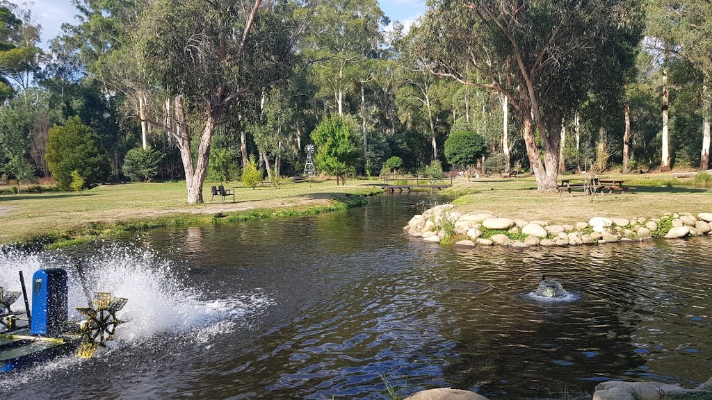 Buxton Trout & Salmon Farm | park | 2118 Maroondah Hwy, Buxton VIC 3711, Australia | 0357747370 OR +61 3 5774 7370