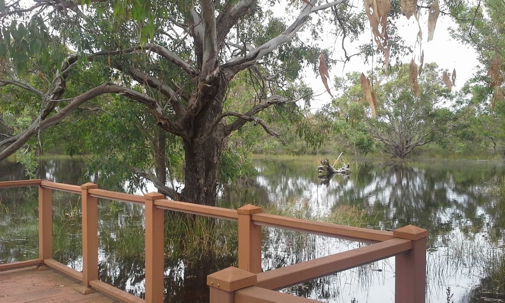 Lightning Swamp Bushland | Noranda WA 6062, Australia