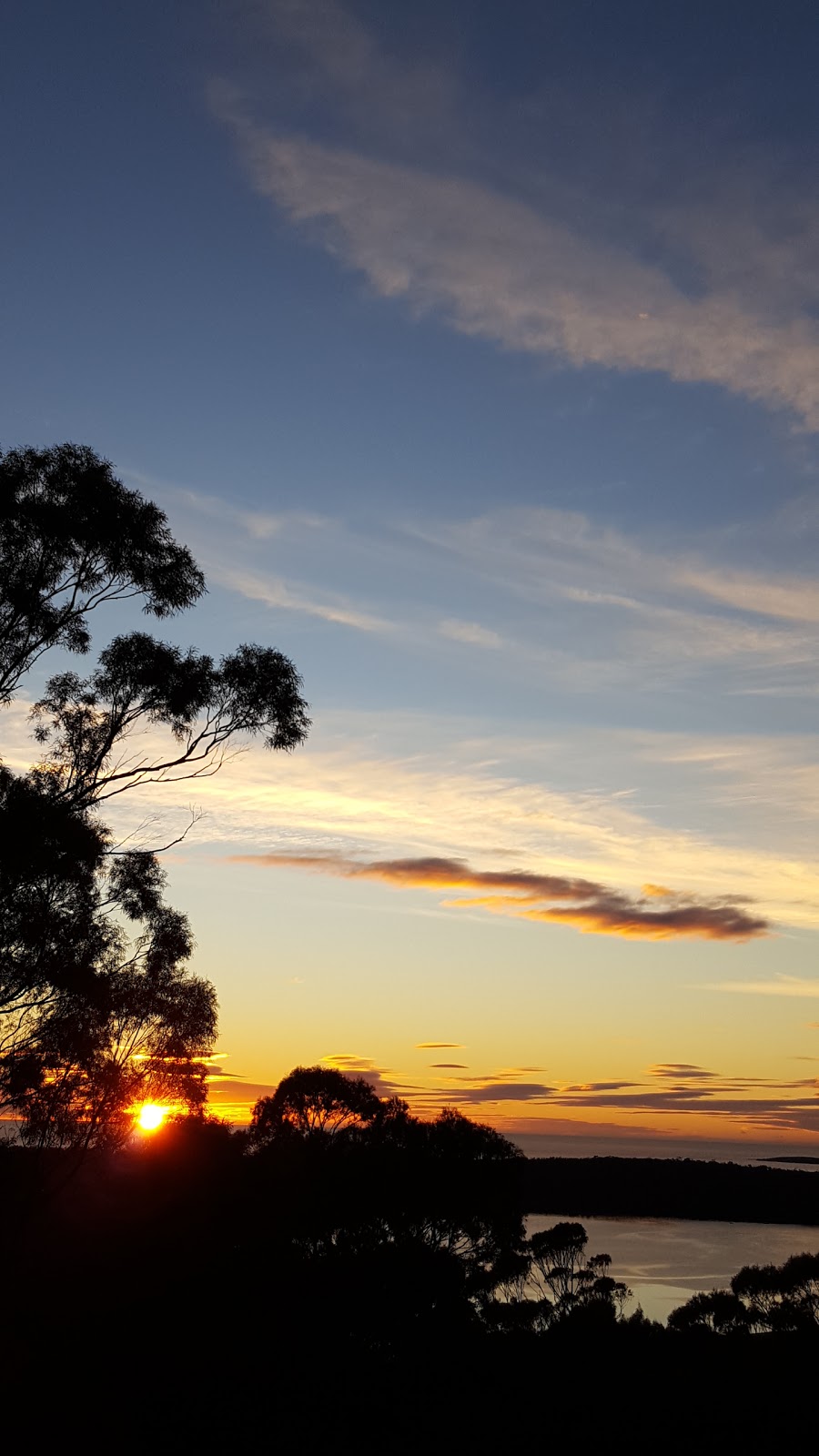 Bed In The Treetops | 701 Binalong Bay Rd, St Helens TAS 7216, Australia