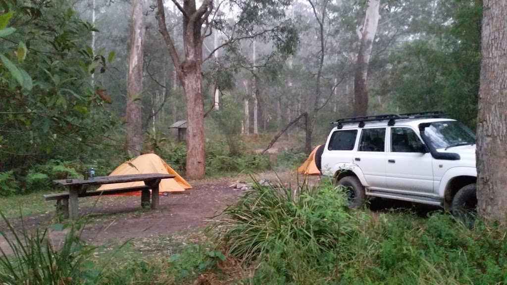 Long Gully Campground | campground | The Castle Walking Track, Yadboro NSW 2539, Australia