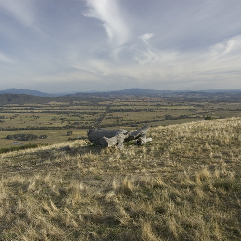 Fighting Gully Road | Vineyard: 203 Fighting Gully Road Winery:, Mayday Hills, 13 Kurrajong Way, Beechworth VIC 3747, Australia | Phone: 0407 261 373