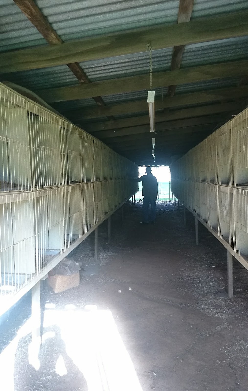 Poultry Pavilion - Western Region Poultry Club | Daylesford, Hepburn Springs VIC 3460, Australia | Phone: 0428 112 295