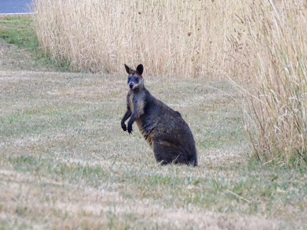 Harmans Valley Lookout |  | Port Fairy Road, C/o Hamilton Information Centre, Hamilton VIC 3300, Byaduk VIC 3301, Australia | 1800807056 OR +61 1800 807 056