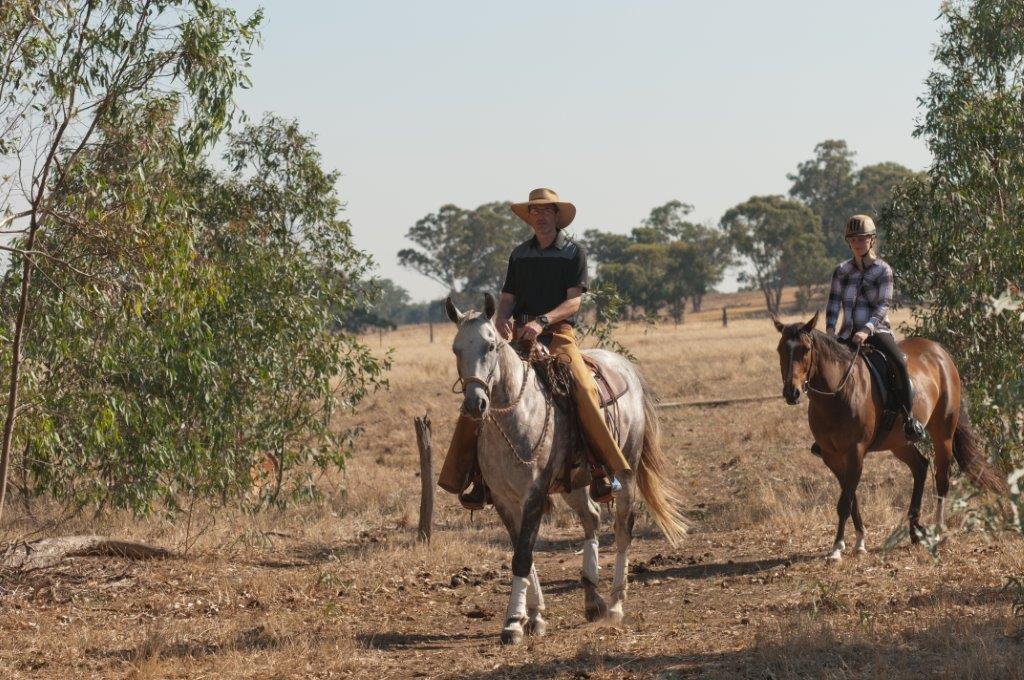 David Mellor Horsemanship | 2401 Strathfieldsaye Rd, Eppalock VIC 3551, Australia | Phone: 0427 393 144