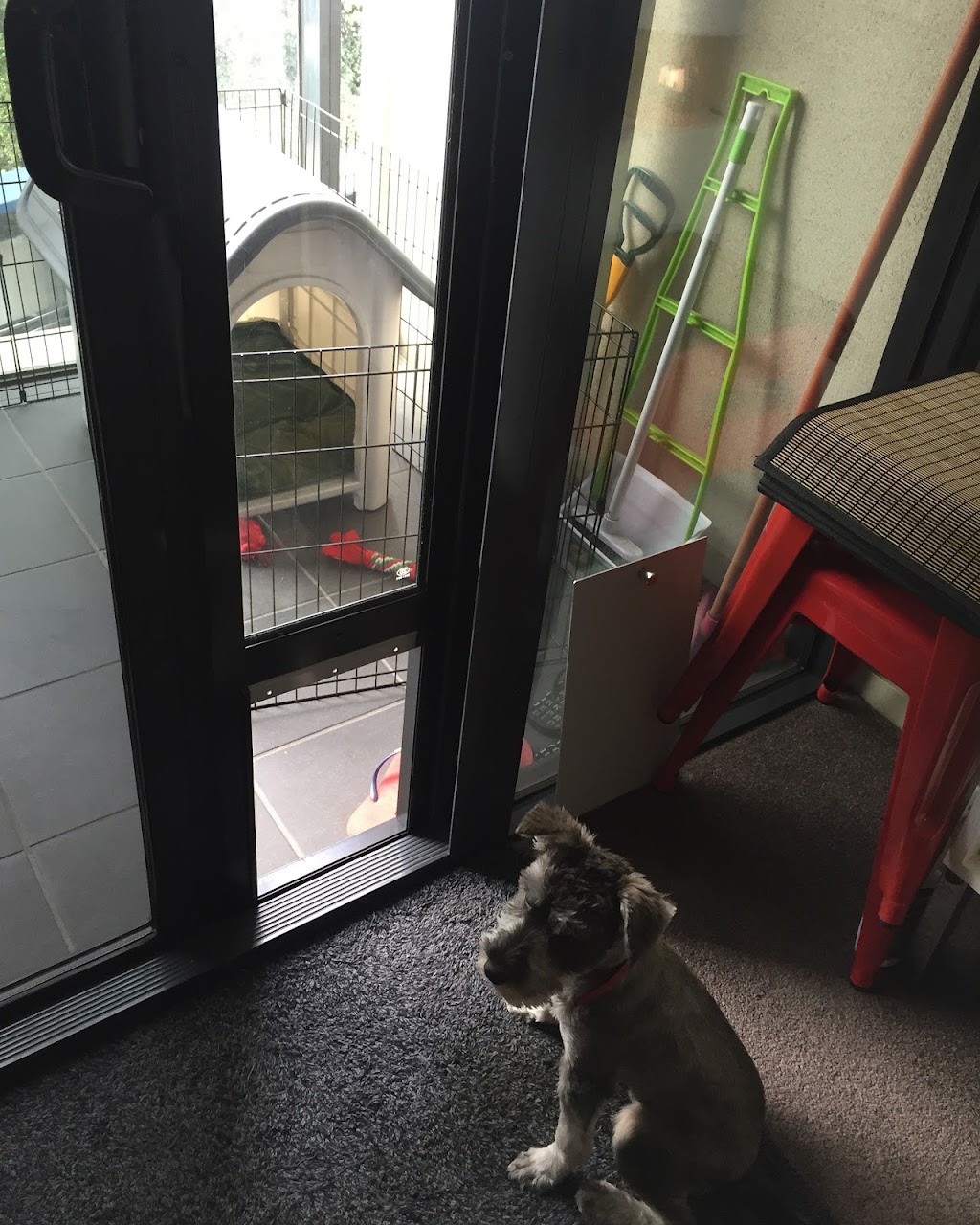 Patio Link | Pet Door Inserts for Sliding Door | Unit 7/15 John Duncan Ct, Varsity Lakes QLD 4227, Australia | Phone: 1300 489 424
