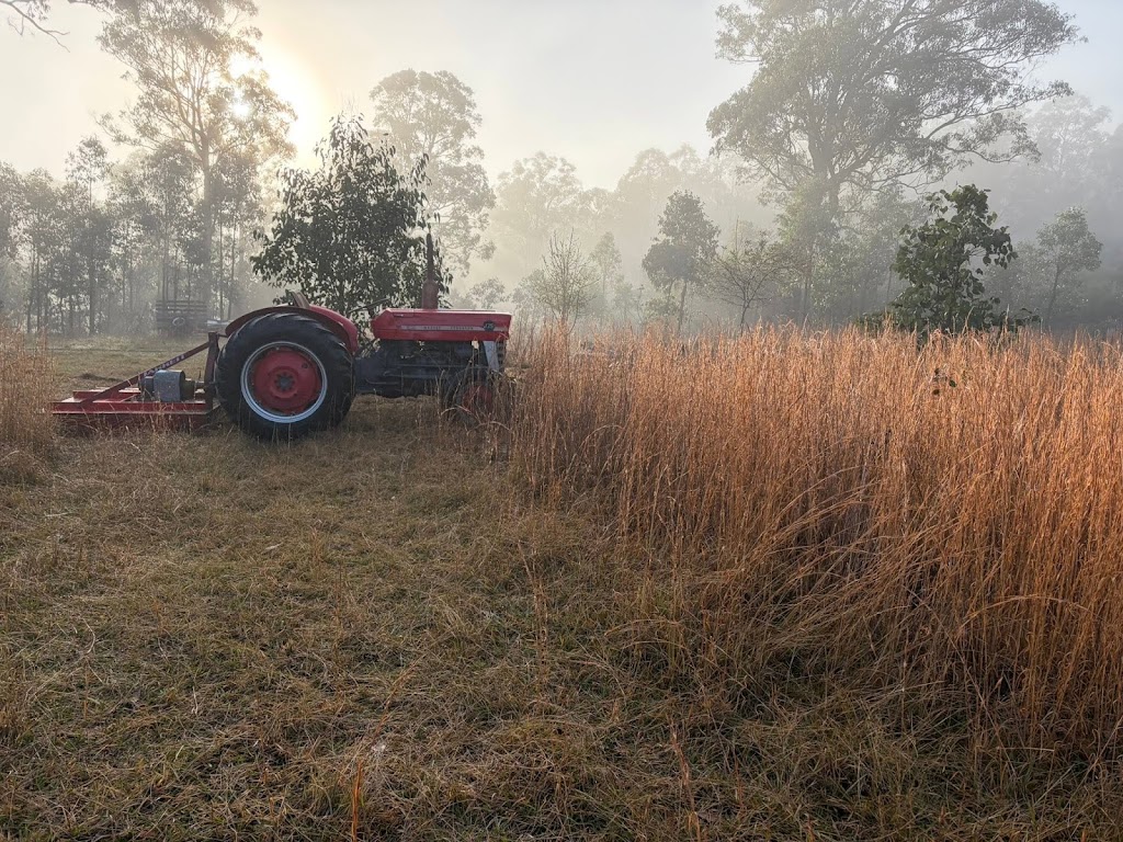 Buck In a Truck | 341 Black Camp Rd, Nooroo NSW 2415, Australia | Phone: 0422 308 907