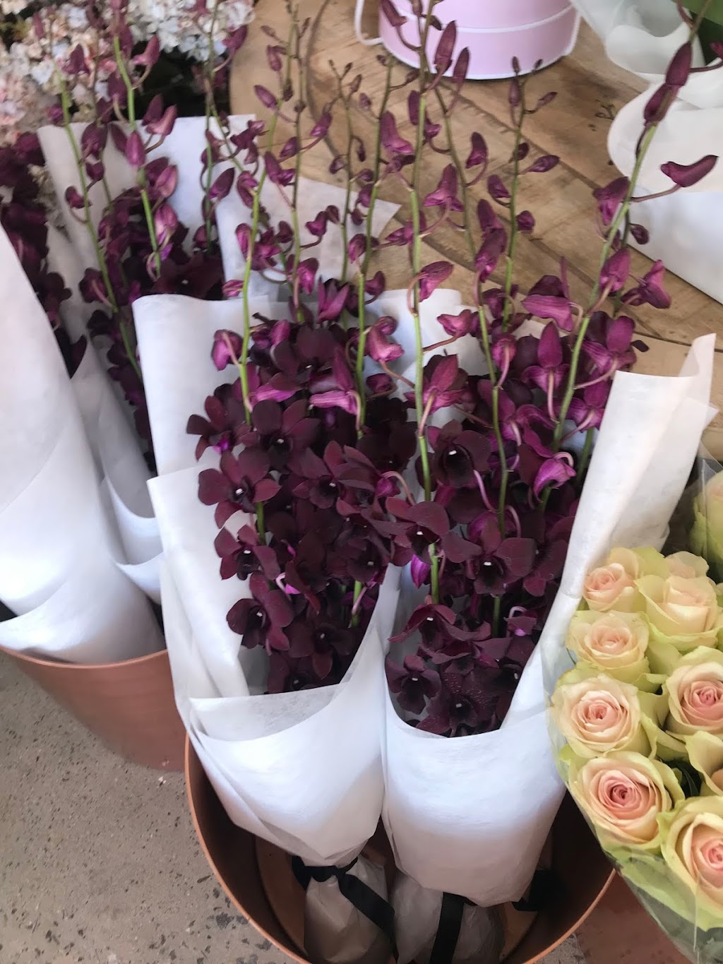 Blooms & More Florist | florist | 204 Railway Parade, Kogarah NSW 2217, Australia | 0295874387 OR +61 2 9587 4387
