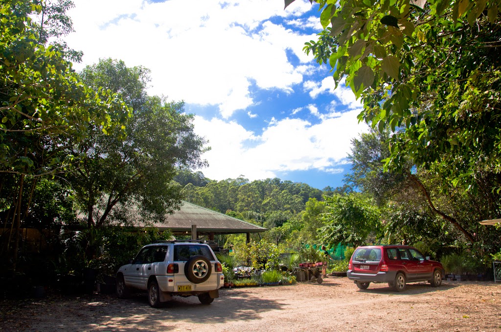 Burringbar Rainforest Nursery | 380 Burringbar Rd, Upper Burringbar NSW 2483, Australia | Phone: (02) 6677 1088