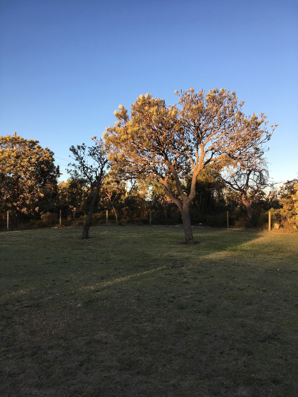 Allamanda Gardens Reserve | park | 14 Allamanda Gardens, Mirrabooka WA 6061, Australia