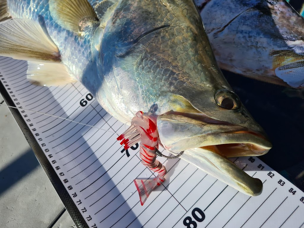 Westofish Sportfishing Charters |  | Dungeness Rd, Lucinda QLD 4850, Australia | 0431195141 OR +61 431 195 141