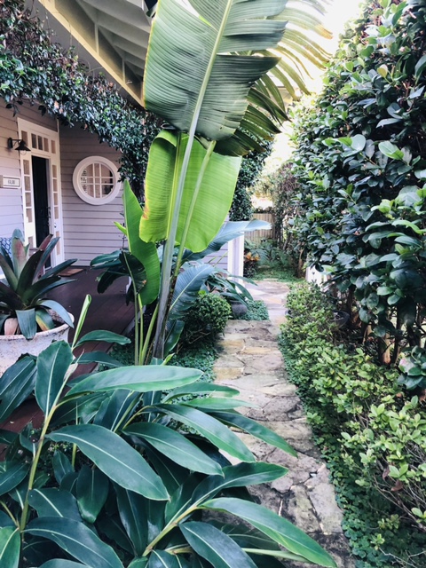 Tranquil Gardens Group | 256 Barrenjoey Rd, Newport NSW 2106, Australia | Phone: 0422 567 040