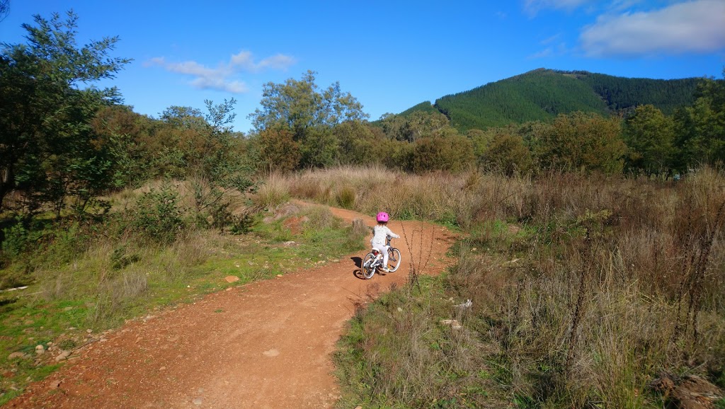 Mystic Mountain Bike Park | Mystic Trail Head, Coronation Ave, Bright VIC 3741, Australia | Phone: 1800 111 885