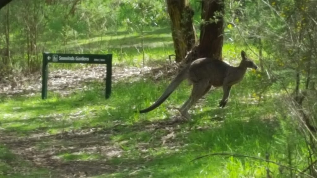 TC McKellar Circuit Walk | park | Tc McKellar Circuit Walk, Arthurs Seat VIC 3936, Australia