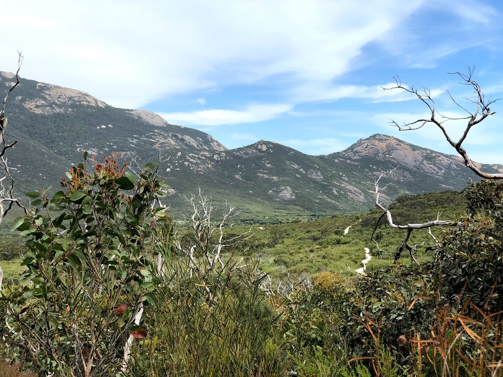 Lilly Pilly Gully Car Park | parking | Wilsons Promontory Rd, Wilsons Promontory VIC 3960, Australia | 131963 OR +61 131963