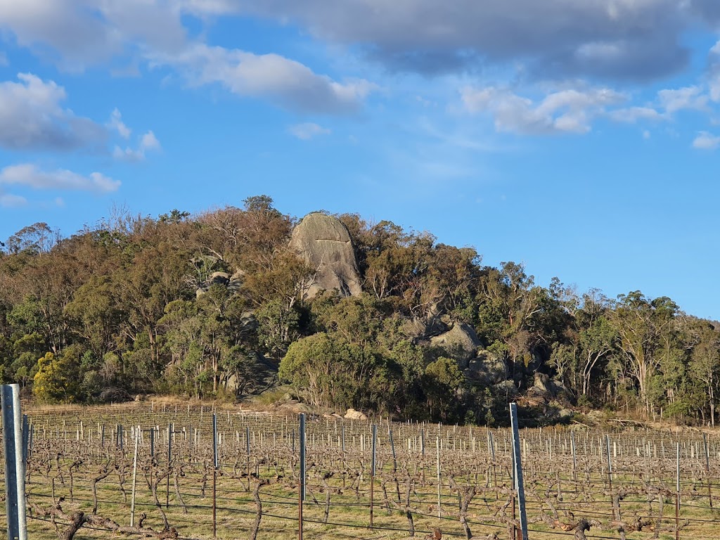 Balancing Heart Vineyard | 221 Old Wallangarra Rd, Wyberba QLD 4382, Australia | Phone: 1300 000 221