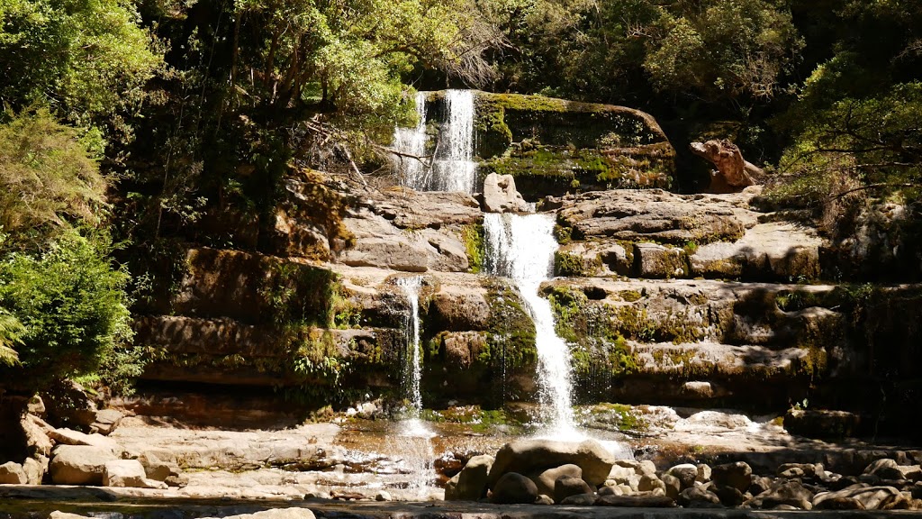 Liffey Falls State Reserve | park | Liffey TAS 7301, Australia