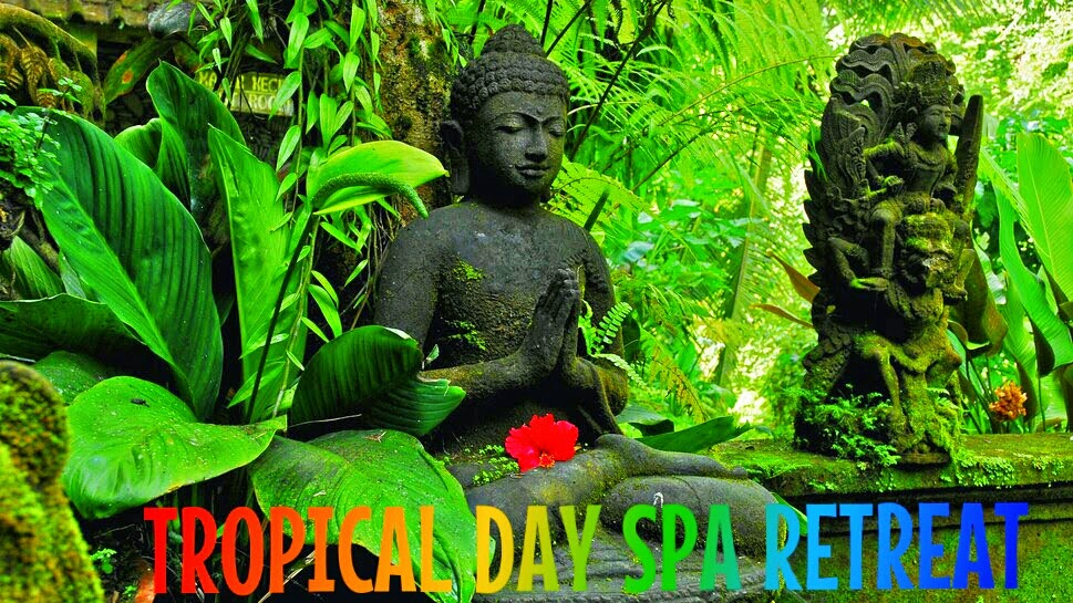 Tropical Day Spa | 41/47 Williams Esplanade, Palm Cove QLD 4879, Australia | Phone: 0406 020 879