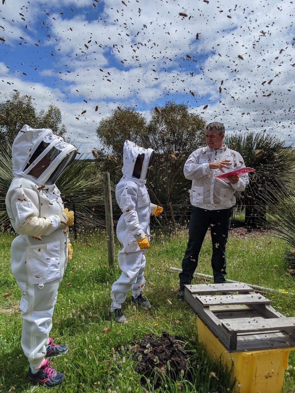 Kangaroo Island Living Honey |  | 172 Florance Rd, Haines SA 5223, Australia | 0427189388 OR +61 427 189 388
